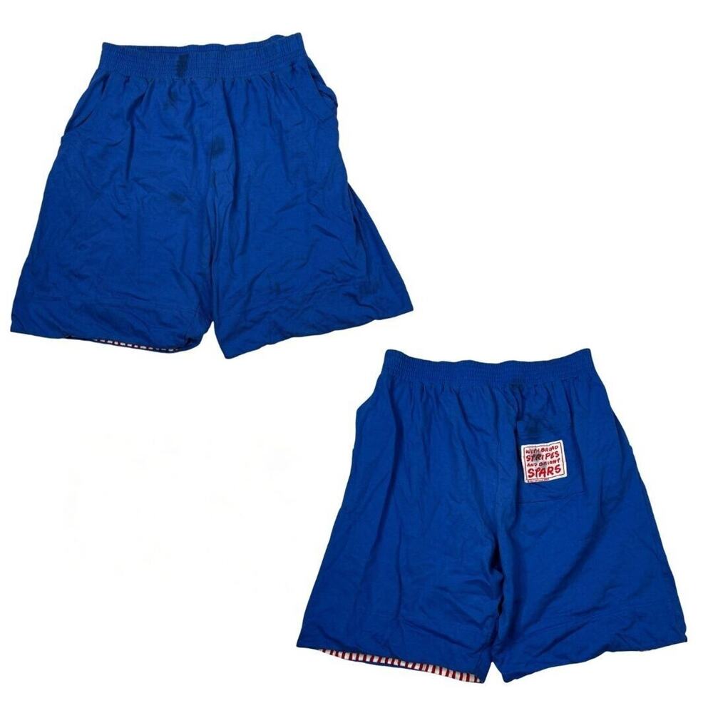 Vintage 90s NeoMax Broad Stripes Bright Stars Athletic Shorts FLAW Blue Large